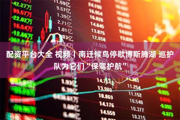 配资平台大全 视频丨南迁候鸟停歇博斯腾湖 巡护队为它们“保驾护航”