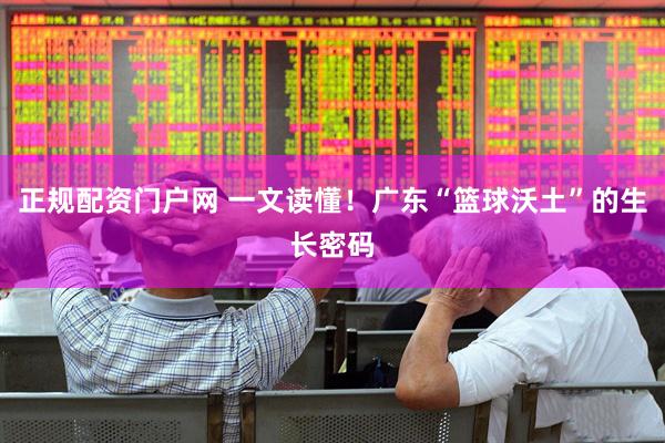 正规配资门户网 一文读懂！广东“篮球沃土”的生长密码