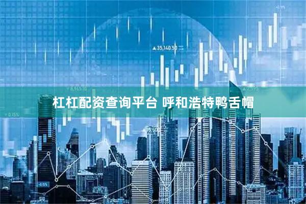 杠杠配资查询平台 呼和浩特鸭舌帽