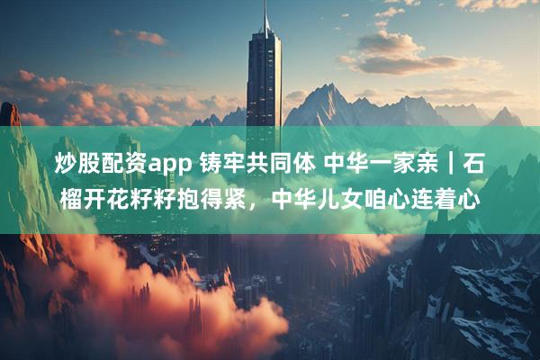 炒股配资app 铸牢共同体 中华一家亲｜石榴开花籽籽抱得紧，中华儿女咱心连着心
